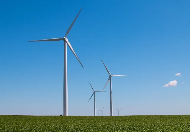 Aerogeradores brancos de três pás erguidos sobre uma plantação verde, sob céu azul quase sem nuvens; ao fundo, outras turbinas se alinham no horizonte